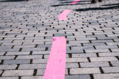 Bayreuth
blättert
feiert!
Das Lieben, das Leben –
und auch ein bisschen sich selbst.

++ am 06.08.2022 in Bayreuth (Bayern).

(c) Andi Weiland | andiweiland.de
