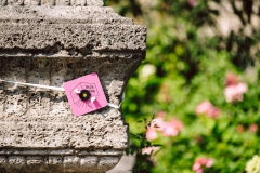 Bayreuth blättert ist ein Lesefest für alle Menschen! Es findet am Samstag, den 18. August 2018 in Bayreuth statt.

++ am 18.08.2018 in Bayreuth (Bayern).

(c) Andi Weiland | Bayreuth blättert